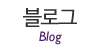 블로그 바로가기