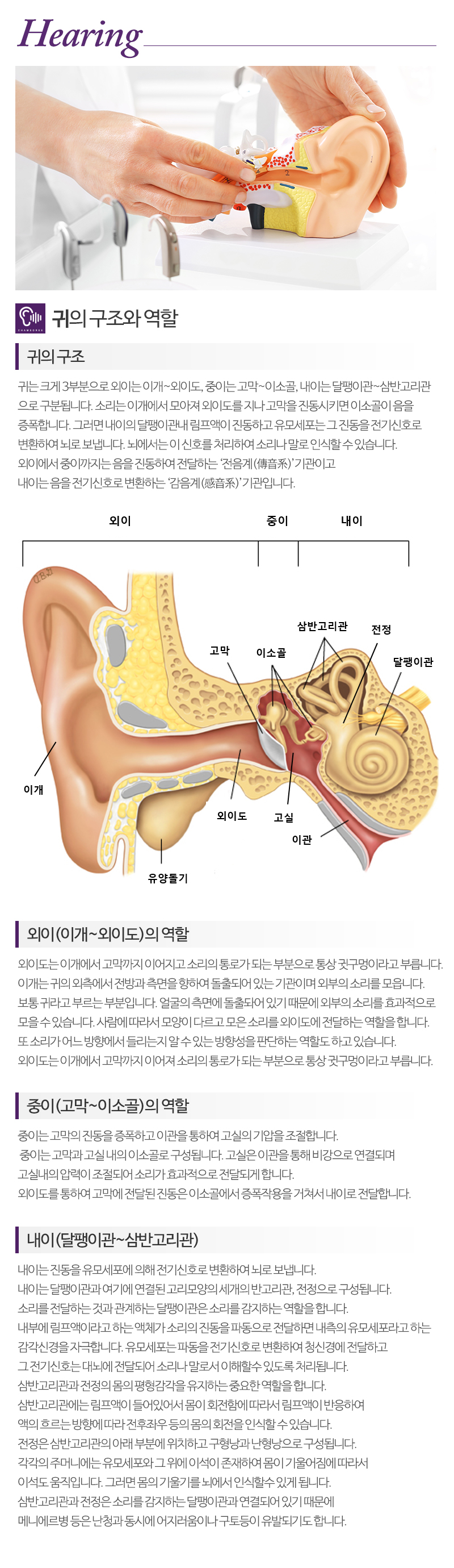 참소리 독일보청기_내용